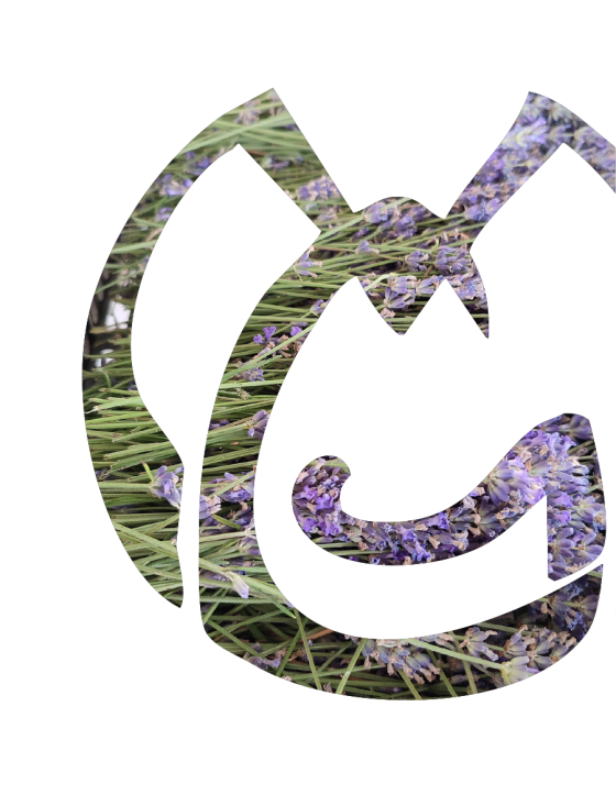 logo azienda con dentro lavanda