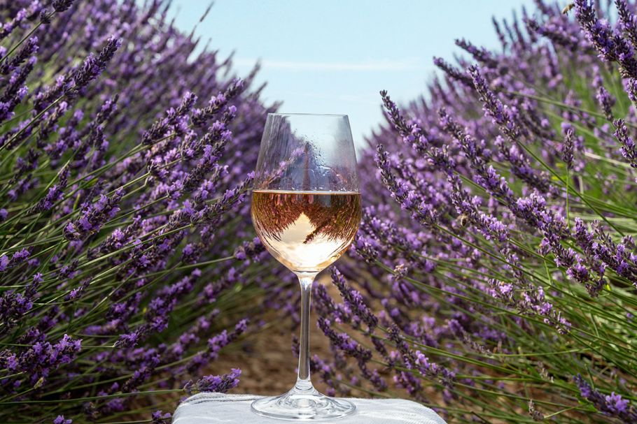 bicchiere di gin nel campo di lavanda