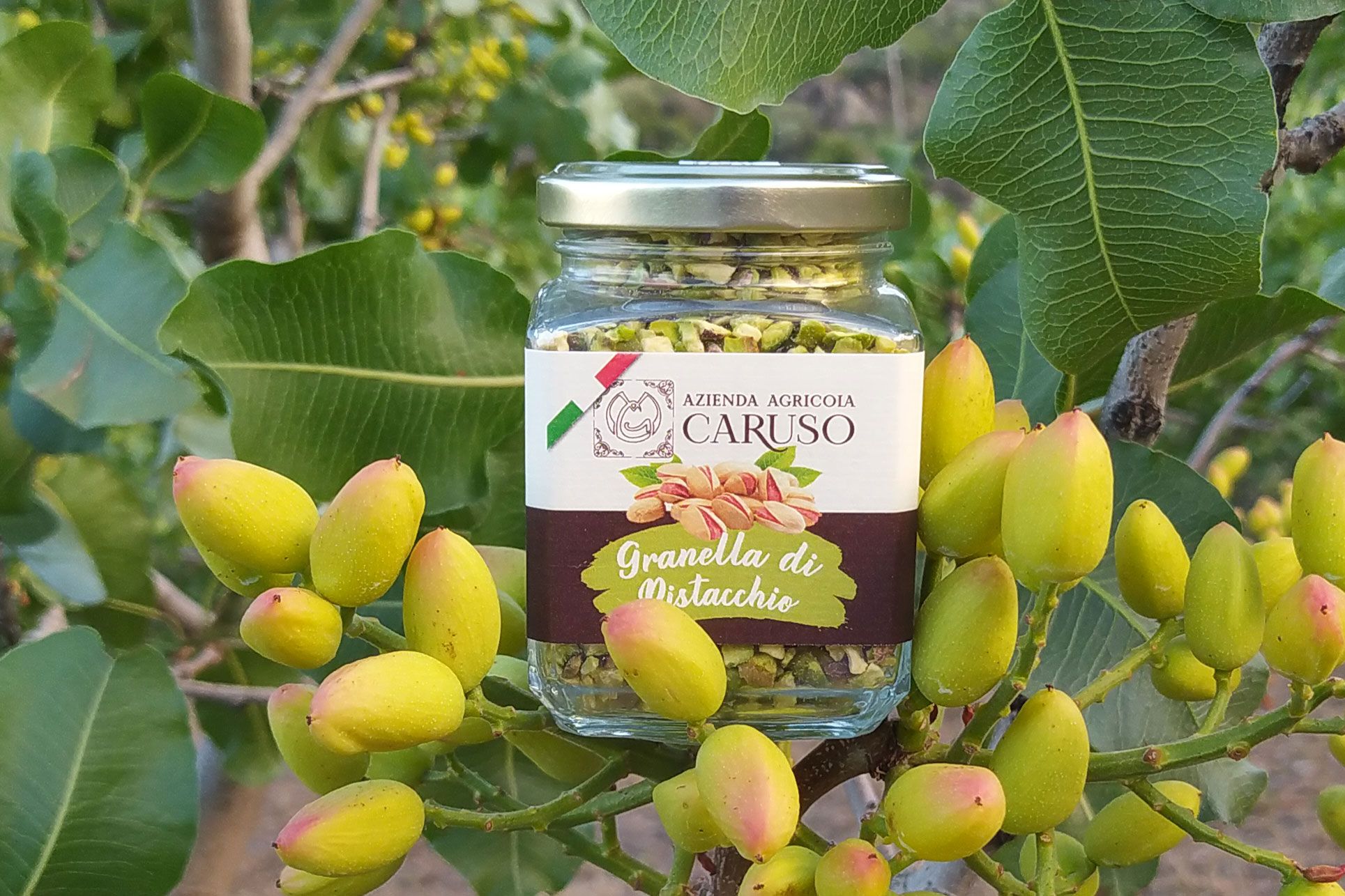 Confezione di granella di pistacchio da 100 gr